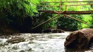 Flowing River ASMR (No Ads) &acirc;&euro;&ldquo; Natural Water Sounds for Night Sleep