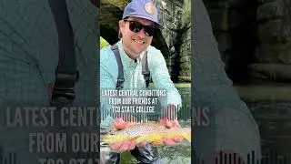 Central PA Fishing Report from Our Friends at TCO State College #shorts #flyfishing #fishingreport