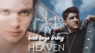 Multimale | Bad Boys Bring Heaven | (HBD Lydia!)