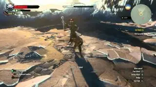 Witcher 3: Wild Hunt - Caranthir Battle