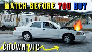 How to buy a Crown Vic?