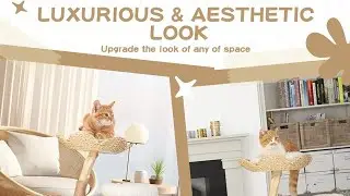 Best Duneasypet Modern Cat Tree Natural Wood Cat Climbing Tower for Indoor Cats, Multi-Level 36