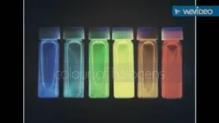 Colour of halogens