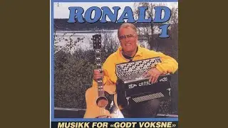 Vi Var Lykkens Brudepar