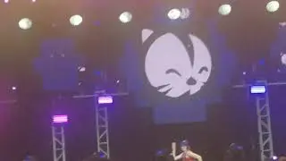 Nekocon 20 Masquerade