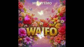 Mr.nyemo - waifo 