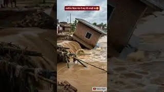 जवनिया बिहार गांव में बाढ़ की तबाही का दुख दर्द🥹 #shorts #jawaniya #biharflood #ganga #flood #bihar