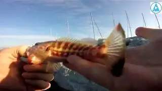 Retour au bord de l'eau 21/10/2018