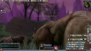 DDO Level Five Quests - Wake Me Up Inside (Fables of the Feywild : Part One)