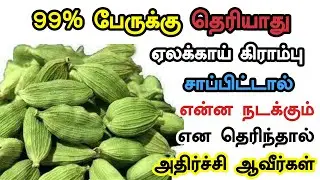 99% பேருக்கு தெரியாது ஏலக்காய் கிராம்பு சாப்பிட்டால் என்ன நடக்கும் என தெரிந்தால் அதிர்ச்சி ஆவீர்கள்