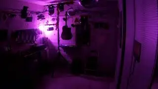 Sound' Light