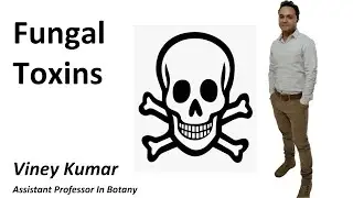 Fungal Toxins video