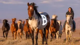 An Unknown Hunter Tried to Take the Rare Colt&mdash;What the Mountain Boy Did Next Became a Legend