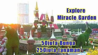 Keseruan di miracle garden, dubai.  vlog26 - ian pratama