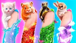 I Helped the 4 Elements Pets! Extreme Rescue in Real Life!