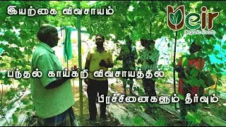 பந்தல் காய்கறி விவசாயத்தில் பிரச்சினைகளும் தீர்வும் / இயற்கை விவசாயம் | Ueir Organic Foods