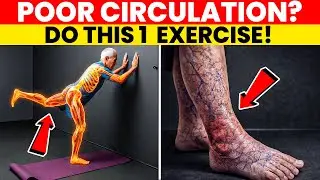 Surgeon REVEALS: Do THIS 1 Wall Exercise For Poor Leg Circulation After 60! | Senior Health Tips