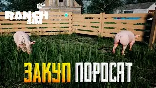 ЗАКУПАЕМ ПОРОСЯТ, Я ЧУВСТВУЮ ЗАПАХ ДЕНЕГ #8 в Runch Simulator