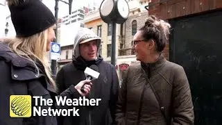 Calgary vacationers caught completely off guard with this snow