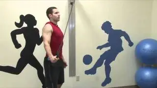The Seatbelt rotator cuff exercise