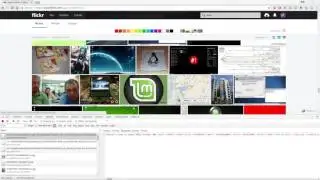 Scraping Flickr with cURL for Fun   Tutorial