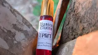 Your Next 24 hours Abundance Tarot Card Reading | Uplift Essential Oil Blend