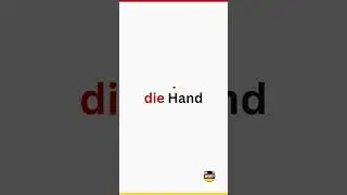 Body Parts in German | A1 Beginner Vocabulary #germana1 #germanwords #germanflashcards #deutschkurs