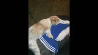 Jake really needed to bus a nut!