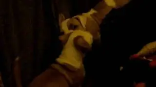 DSCN8367