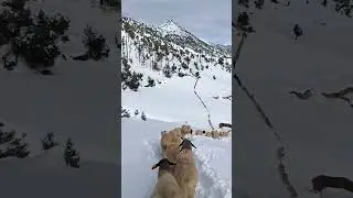 من جبال الأطلس المتوسط 🏔️🌲🇲🇦