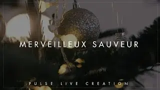 PLC - Merveilleux Sauveur