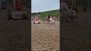 Went showjumping! we did 50cm, 60cm, 70cm! he was so good 🥰😍😋💖🐴 #horsejumping #horse