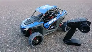 12s Losi RZR Rey