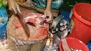Real-Time Giant Fish Processing - Amazing Manual Skills. #fishcutting #fishcutting_skills #live 