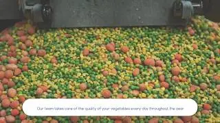 Bidfood Opava &ndash; Production of Frozen vegetables