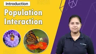 Organism and Population - Population Interaction: An Introduction