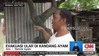 Ular Sanca 3 Meter Di Pemakaman | REDAKSI (29/01/26)