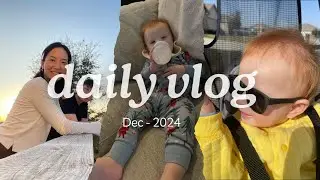 2024圣诞节｜野生动物园｜Natural Bridge Wildlife Ranch｜Drive Through Safari