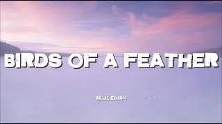 Billie Eilish - BIRDS OF A FEATHER Tiktok Trending music