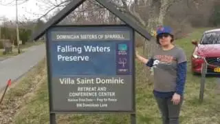 Hiking in the Hudson Valley Location Spotlight: Falling Waters Preserve
