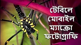 টেবিলে মোবাইল ম্যাক্রো ফটোগ্রাফি --  Mobile macro photography on table