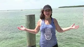 The neuroscience of traveling and how it benefits your brain and health!