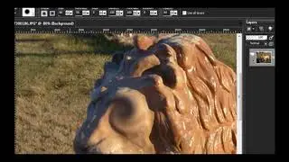 PSP Basic 10th Toolbar -  #4 The Smudge Tool #5 The Push Tool