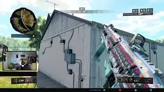 HMMM SWAT OR PALADIN?? SOLO WIN CARNAGE (CoD BLACKOUT)