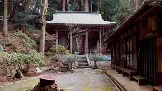 癒しの場「坂中寺」