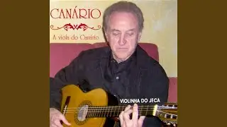 O Lavrador