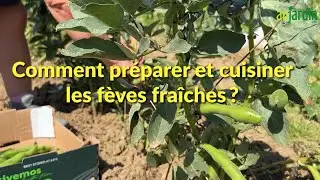 F&Egrave;VES FRA&Icirc;CHES, COMMENT les R&Eacute;COLTER, les PR&Eacute;PARER et les CUISINER