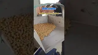 Crushing It: The Future of Grain Processing #Grain crusher