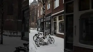 Nevada en Holanda 2021 - vertical