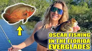 Fishing for Oscars in The Everglades